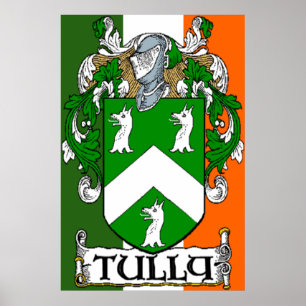 Tully Wappen irischen Flaggen-Druck Poster