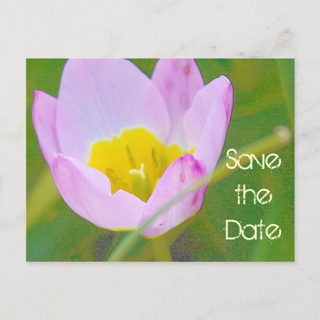 Tulpe-Blume Save the Date leere Karte (Vorderseite)