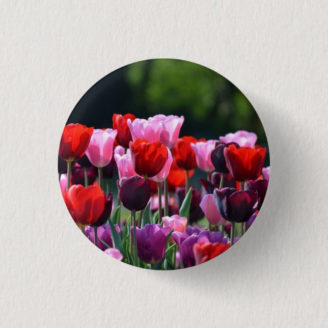 Tulpe-Blumen-Abzeichen/Knopf Button (Vorderseite)