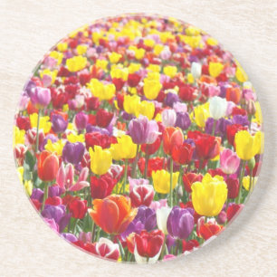 Tulpe-Blumen-Sandstein-Untersetzer-Frühling Sandstein Untersetzer