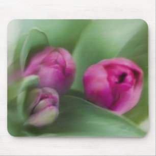 Tulpe-Blumenstrauß Mousepad