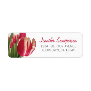 Tulpe-Bündel