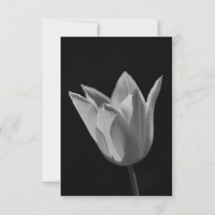 Tulpe Dankeskarte