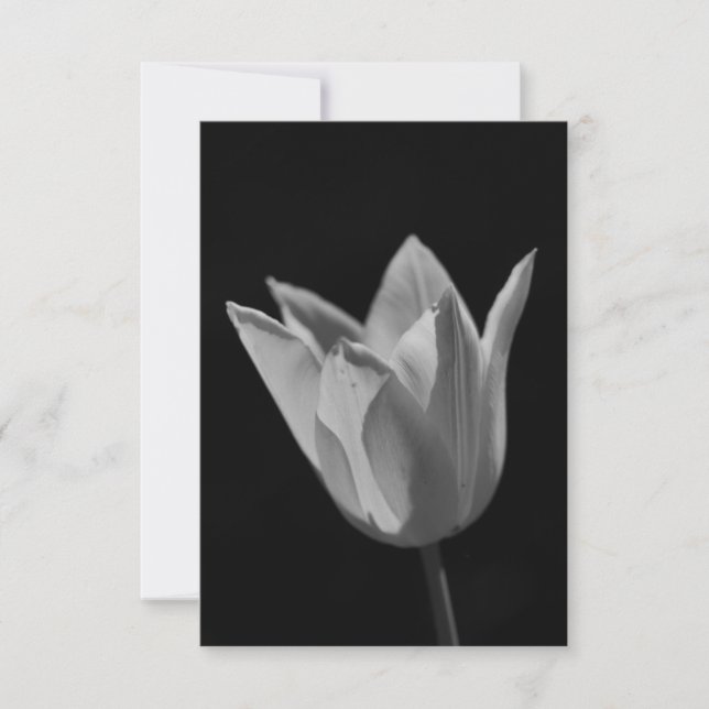 Tulpe Dankeskarte (Vorderseite)