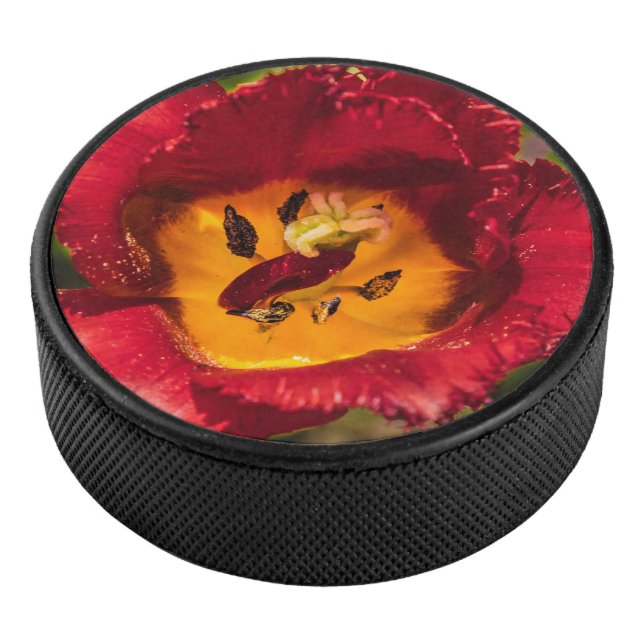 Tulpe Eishockey Puck (3/4)