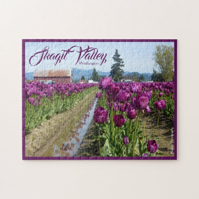 Tulpe-Felder (lila) u. Scheune (Skagit Tal) Puzzle (Horizontal)