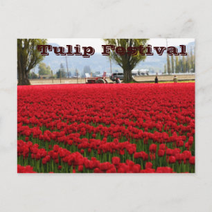 Tulpe-Festival Postkarte