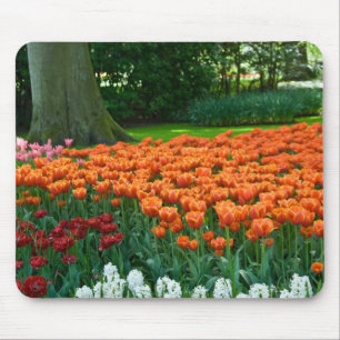 Tulpe-Garten Mousepad
