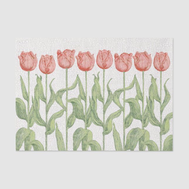 Tulpe-Garten Seidenpapier (Vorderseite)