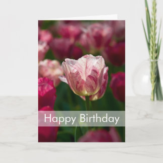Tulpe-Geburtstags-Karte | Geburtstagskarte Tulpen Karte