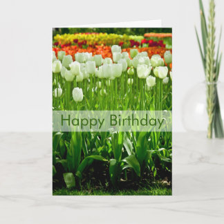 Tulpe-Geburtstags-Karte | Geburtstagskarte Tulpen Karte