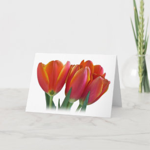 Tulpe-Gruß-Karte Karte
