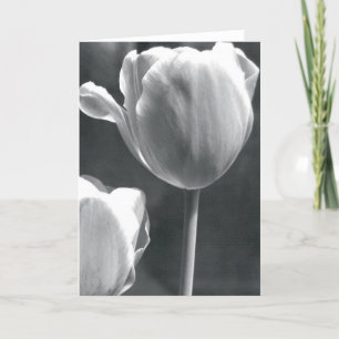 Tulpe in Schwarzweiss Karte