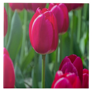 Tulpe-Keramikfliese Fliese