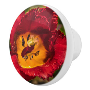 Tulpe Keramikknauf