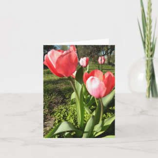 TULPE-LEERE ANMERKUNGS-KARTE KARTE