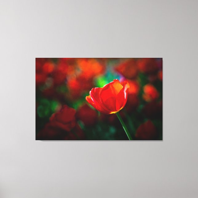 Tulpe Leinwanddruck (Vorderseite)