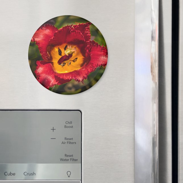 Tulpe Magnet (In Situ (Kühlschrank))