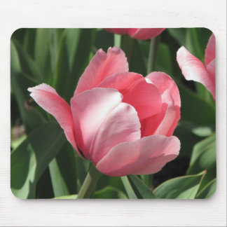 Tulpe Mousepad