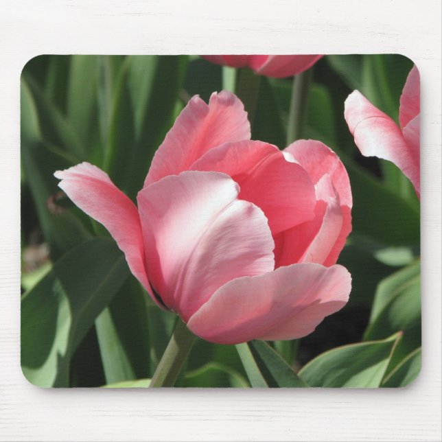 Tulpe Mousepad (Vorne)