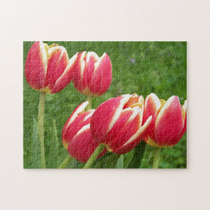 Tulpe-Nahaufnahme Puzzle
