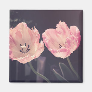 Tulpe-Natur-Foto Magnet