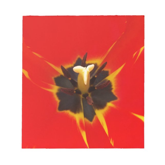 Tulpe Notizblock (Vorderseite)