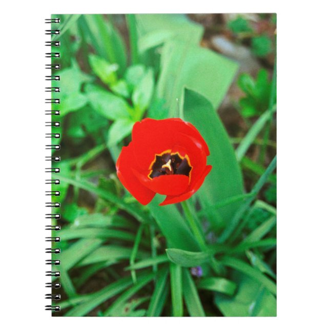Tulpe Notizblock (Vorderseite)