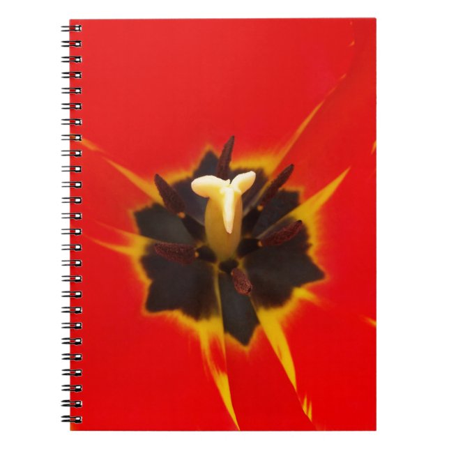 Tulpe Notizblock (Vorderseite)