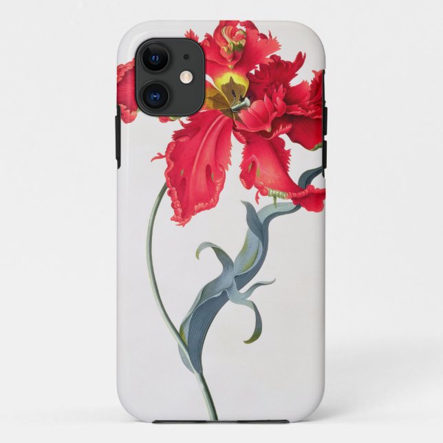 Tulpe: Perroquet Rouge Case-Mate iPhone Hülle (Rückseite)