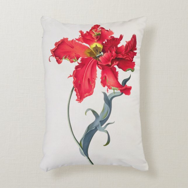 Tulpe: Perroquet Rouge Dekokissen (Vorderseite(Vertikal))