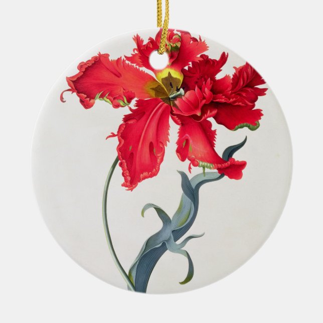 Tulpe: Perroquet Rouge Keramikornament (Vorne)