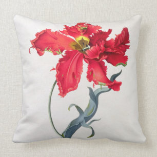 Tulpe: Perroquet Rouge Kissen