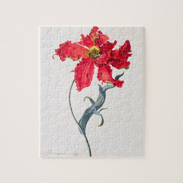 Tulpe: Perroquet Rouge Puzzle (Vertikal)