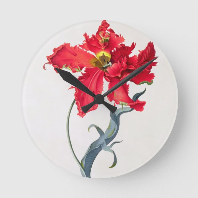 Tulpe: Perroquet Rouge Runde Wanduhr (Vorderseite)