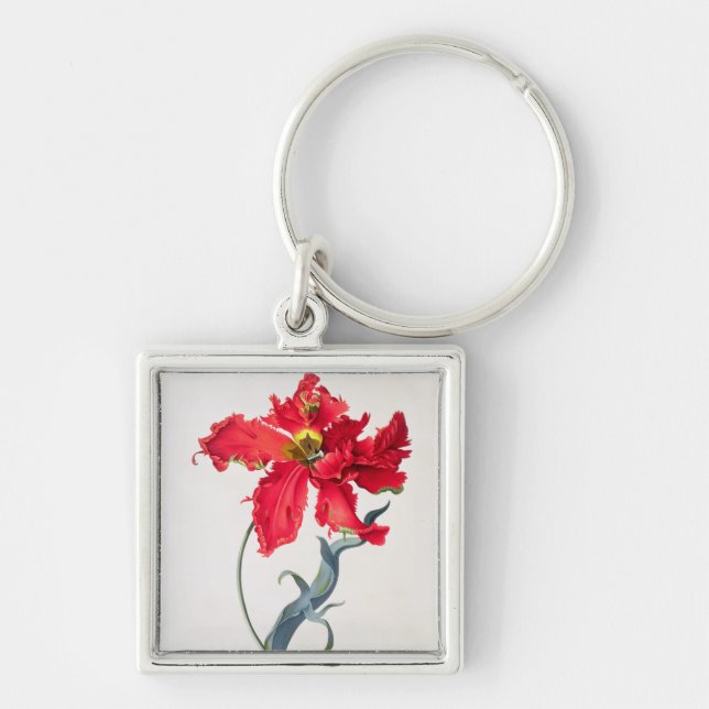 Tulpe: Perroquet Rouge Schlüsselanhänger (Vorne)