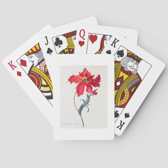Tulpe: Perroquet Rouge Spielkarten (Rückseite)