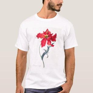 Tulpe: Perroquet Rouge T-Shirt