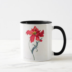 Tulpe: Perroquet Rouge Tasse