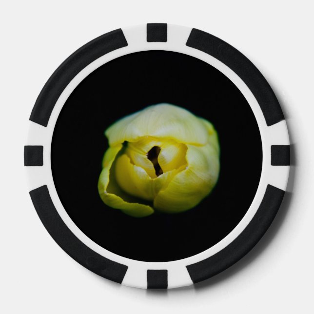 Tulpe Pokerchips (Vorderseite)