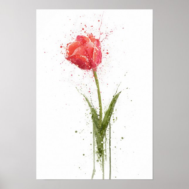 Tulpe Poster (Vorne)
