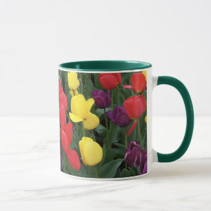 Tulpe-Regenbogen Tasse
