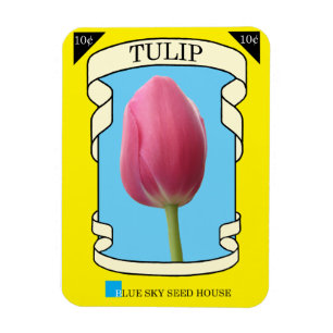 Tulpe-Samen-Paket Magnet
