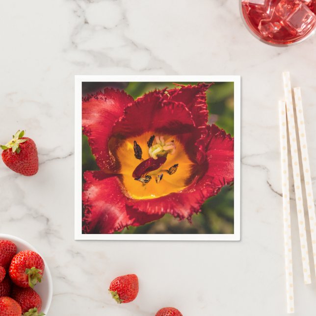 Tulpe Serviette (Beispiel)