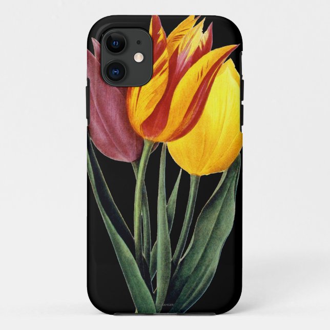 Tulpe (Tulipa Gesneriana) Case-Mate iPhone Hülle (Rückseite)