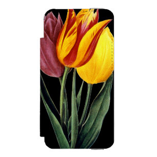 Tulpe (Tulipa Gesneriana) Incipio Watson™ iPhone 5 Geldbörsen Hülle