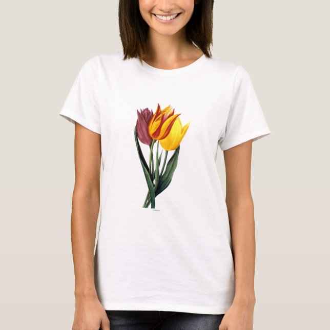 Tulpe (Tulipa Gesneriana) T-Shirt (Vorderseite)