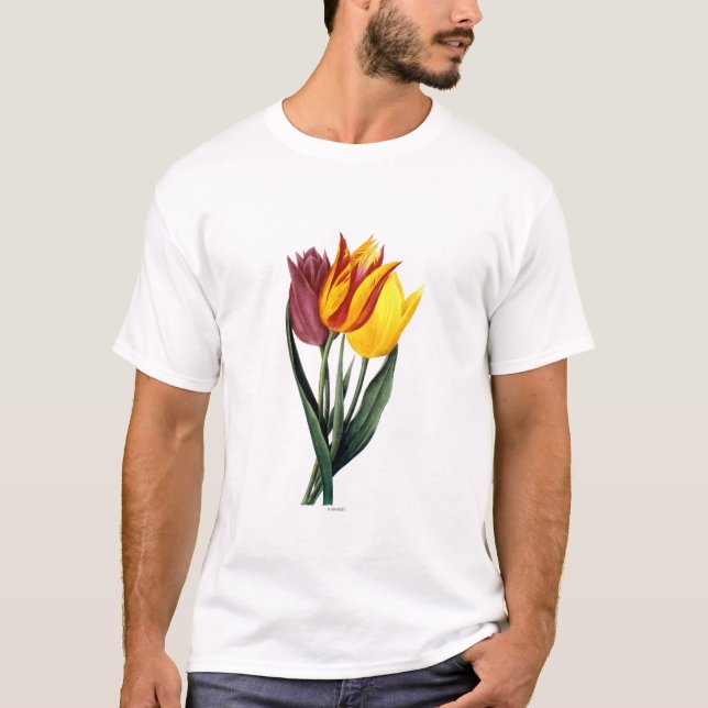 Tulpe (Tulipa Gesneriana) T-Shirt (Vorderseite)