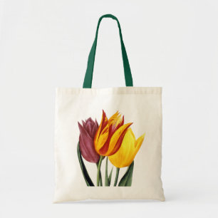 Tulpe (Tulipa Gesneriana) Tragetasche