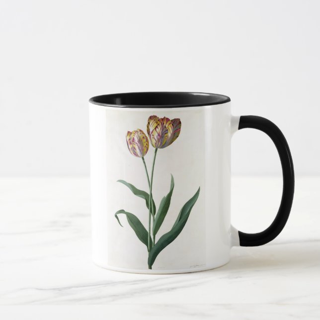 Tulpe-Tulpe Tasse (Rechts)